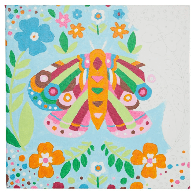 3145817976 Colorific Canvas Paint by Number Kit | Marvelous Moth 2024