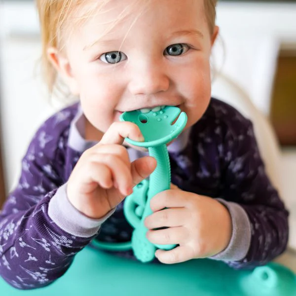 Busy Baby | Teether & Training Spoon 2024